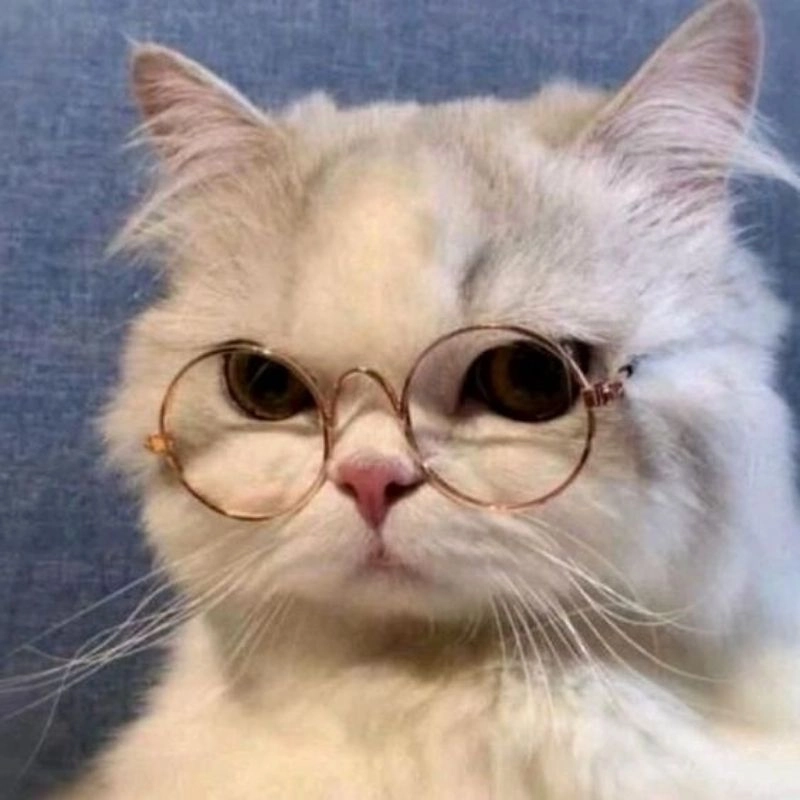 Hình ảnh mèo cute chibi nét vẽ kawaii dễ thương 