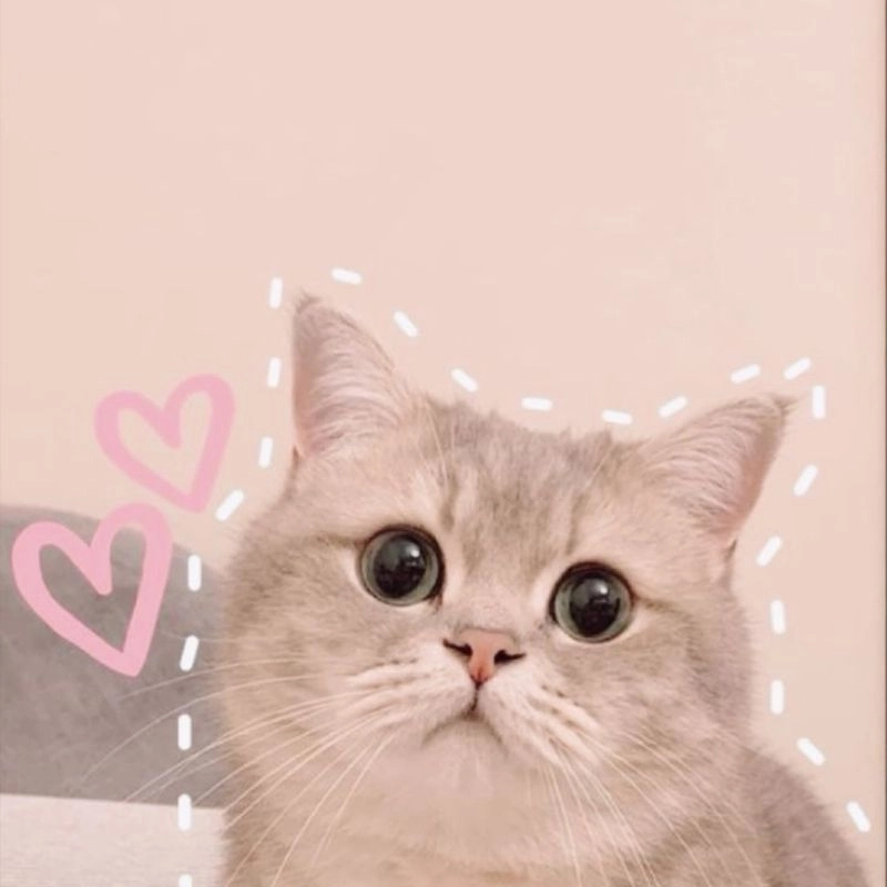 Vẽ mèo cute hướng dẫn đơn giản phong cách kawaii 