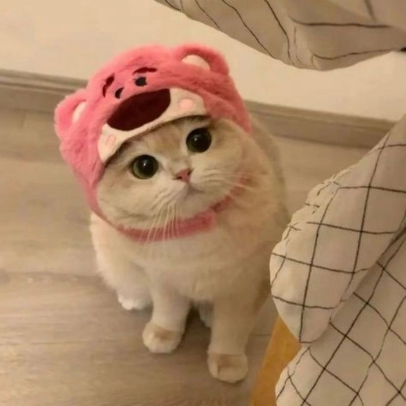 Ảnh chibi cute mèo nét vẽ ngộ nghĩnh kawaii 