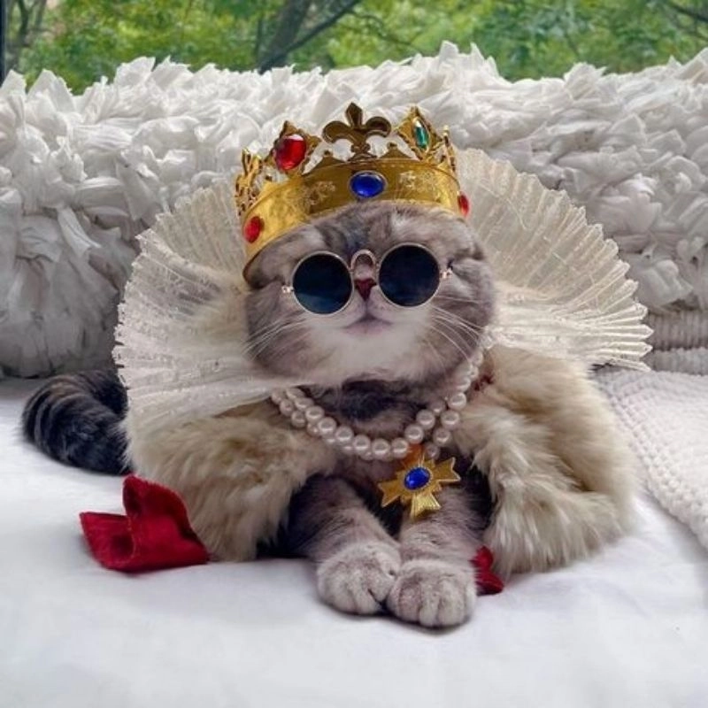 Hình ảnh chibi mèo nét vẽ ngộ nghĩnh kawaii 