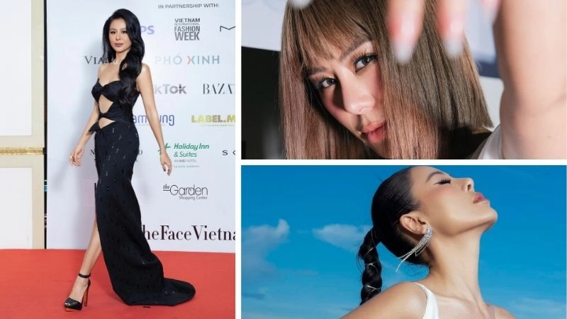 Tiểu sử về Nam Thư