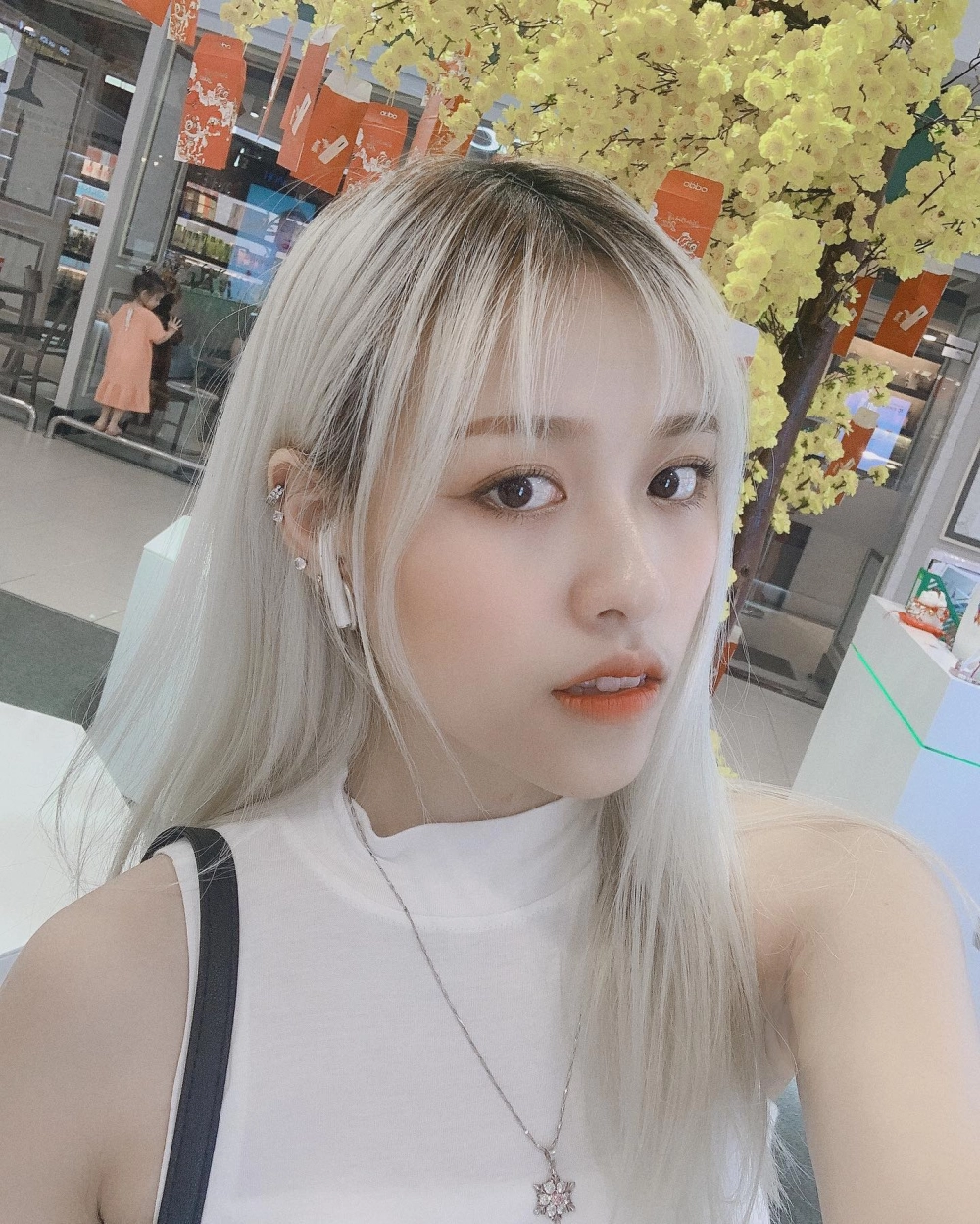 Cập nhật số lượng người theo dõi Trà Đặng có bao nhiêu follow