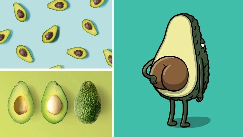 Ý nghĩa về trái bơ chibi đầy thú vị