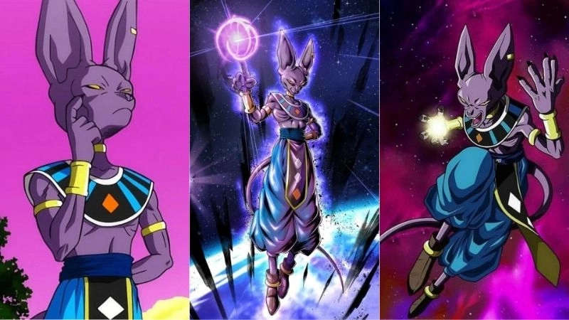 Tiểu sử về Beerus