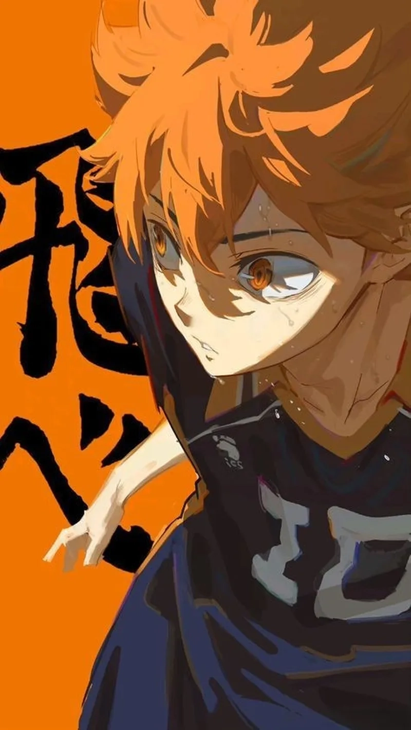 Nhân vật tỏa sáng trong loạt Anime Hinata Shouyou