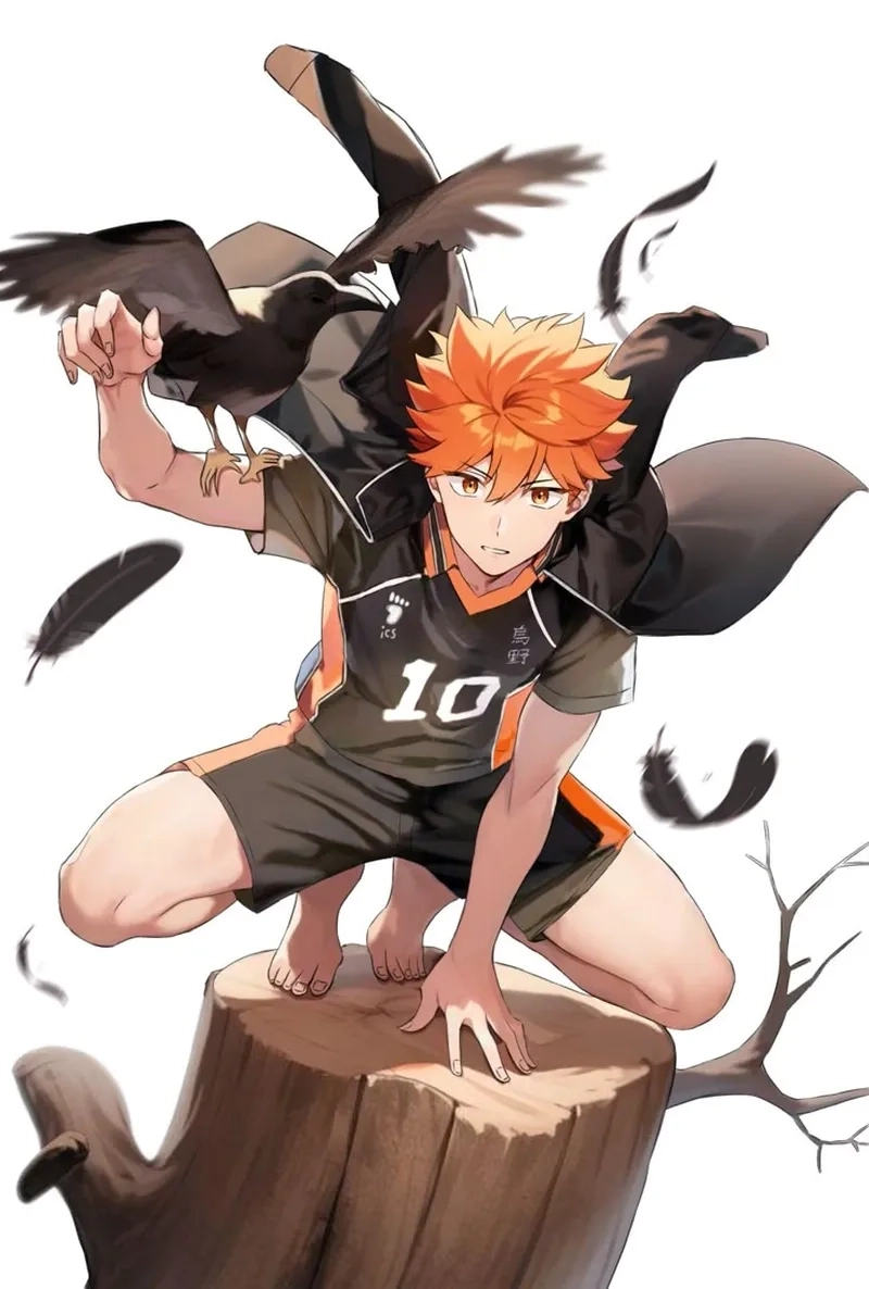 Tinh thần thể thao rực lửa của Shoyo Hinata luôn cháy bỏng