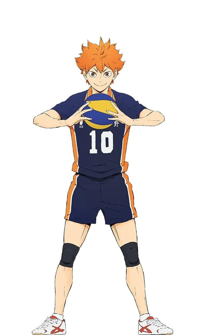 Sức hút không thể cưỡng từ Anime Hinata Shoyo