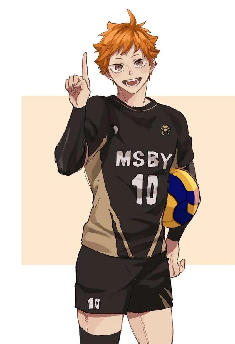 Góc trưng bày ấn tượng với Shoyo Hinata Figma