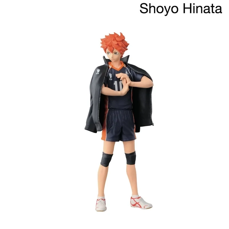 Đội bóng chuyên nghiệp chào đón Hinata Shouyou Msby