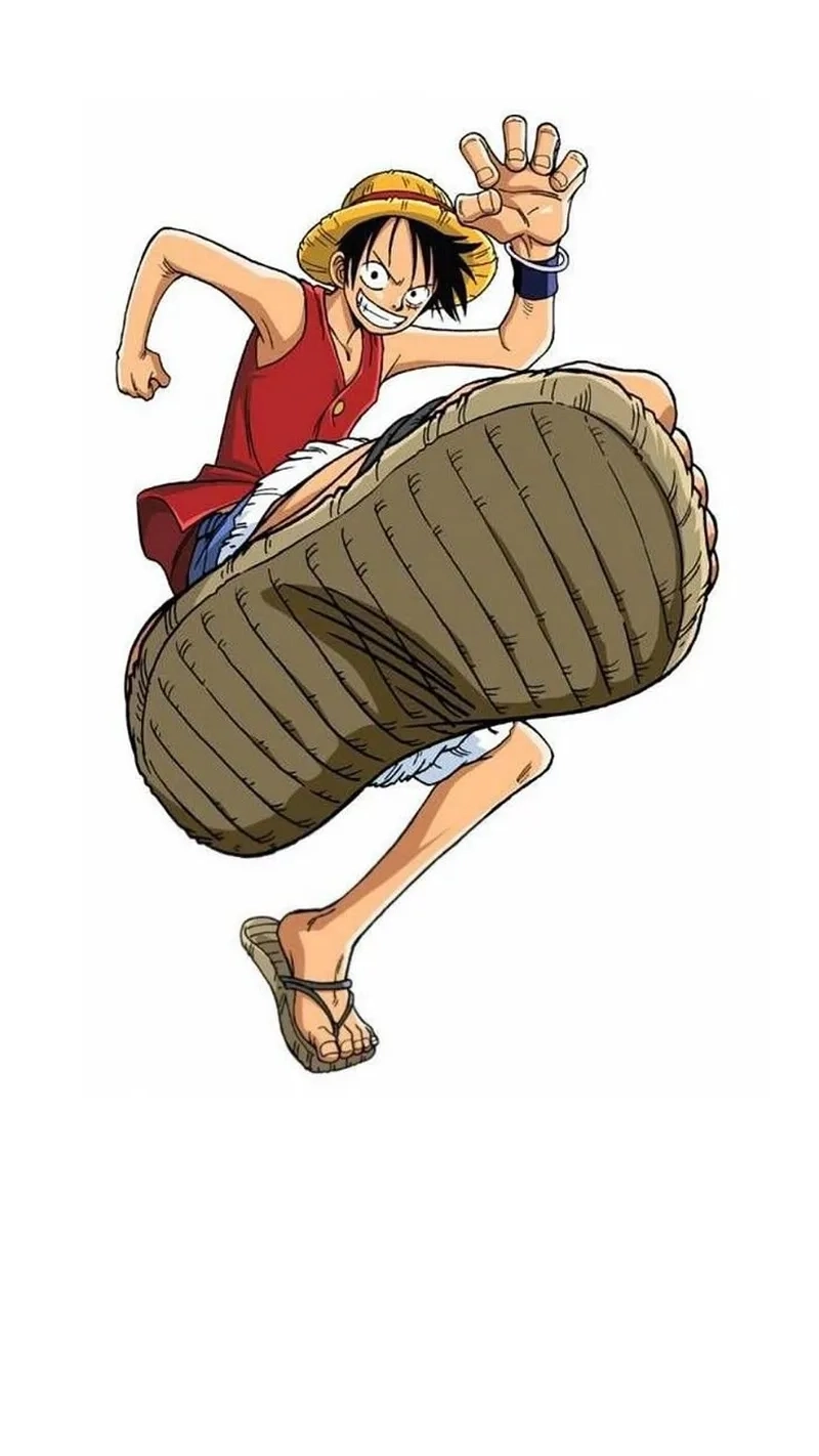 Thông tin thú vị về Luffy sinh ngày mấy