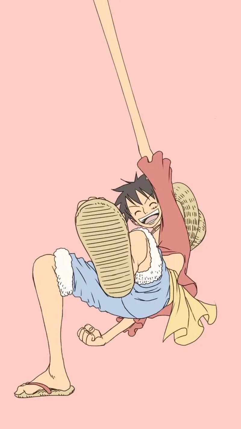 Nhiều người vẫn thắc mắc Luffy là gì