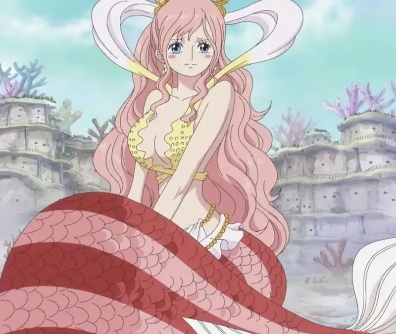 Tình bạn chân thành giữa Shirahoshi Luffy khiến fan cảm động