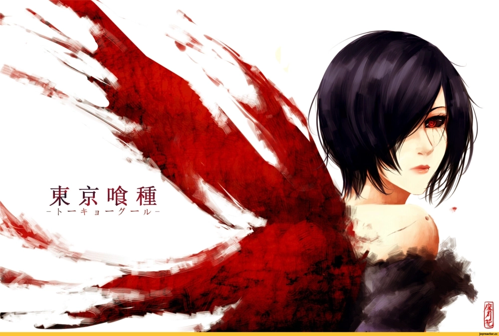 Touka Kirishima age được fan quan tâm trong các bài phân tích nhân vật