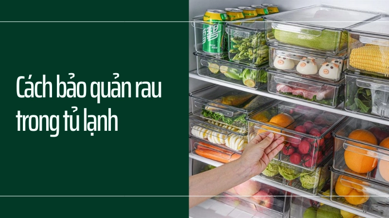 Cách bảo quản rau trong tủ lạnh đúng chuẩn khoa học