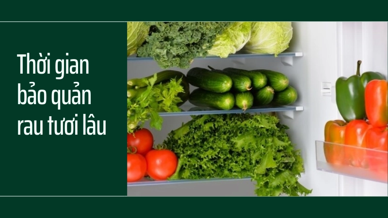 Thời gian bảo quản rau tươi lâu tối đa cho từng loại