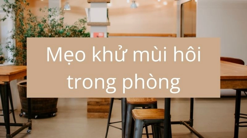 Xác định đúng “thủ phạm” gây mùi – bước đầu tiên quan trọng