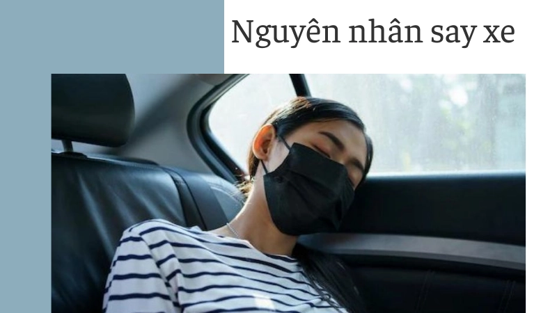 Nguyên nhân gây say xe và cơ chế cơ thể phản ứng