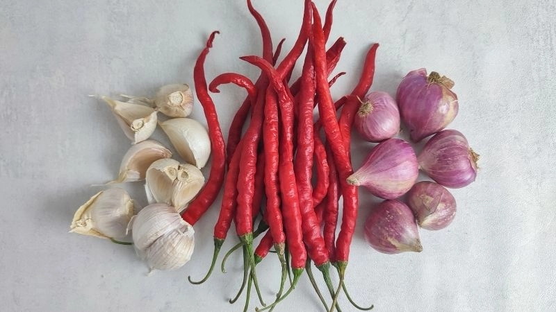 Tận dụng nguyên liệu nhà bếp đuổi chuột cực nhạy