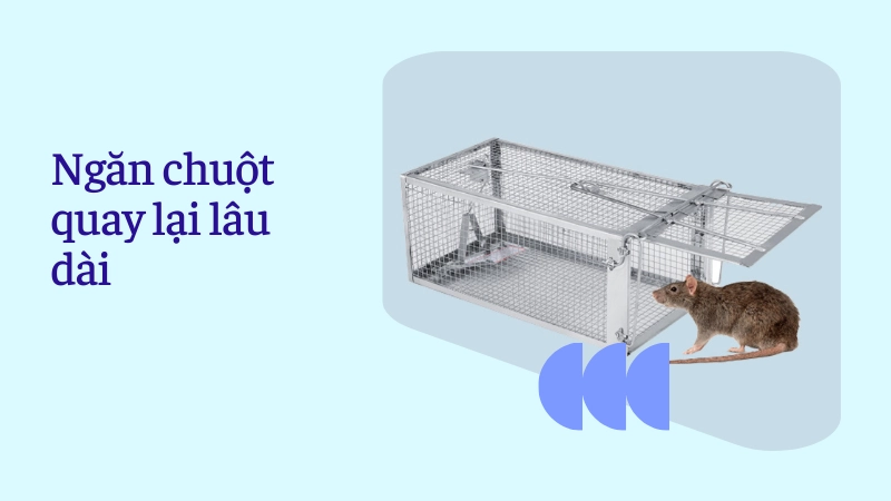 Phương pháp ngăn chặn chuột quay lại cực hiệu quả